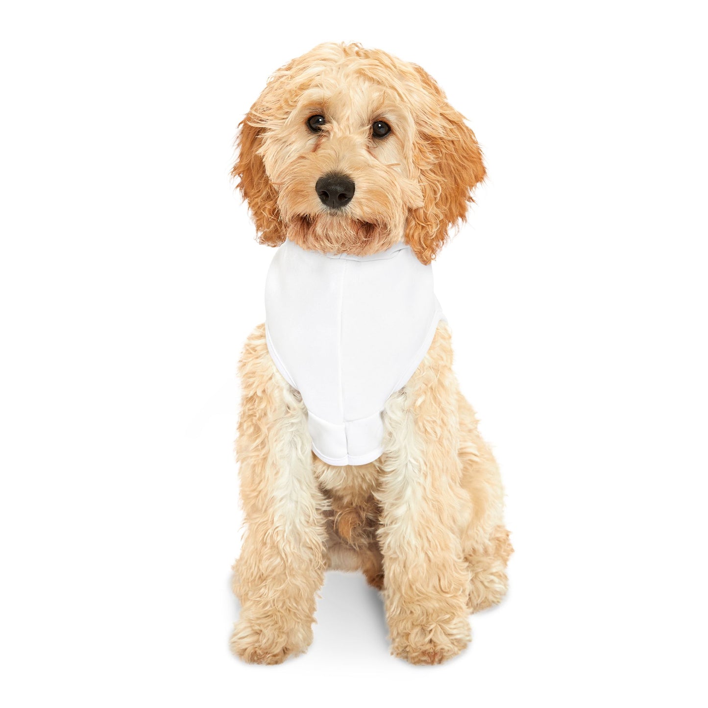 Pet Hoodie - "My Owner is a Douchebag" - Ideal for Dogs that just happen to be owned by Douche Bags